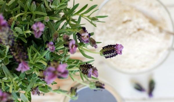 Exfoliating Facial Scrub Recipe with Lavender and Oatmeal