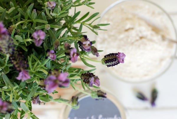 Exfoliating Facial Scrub Recipe with Lavender and Oatmeal
