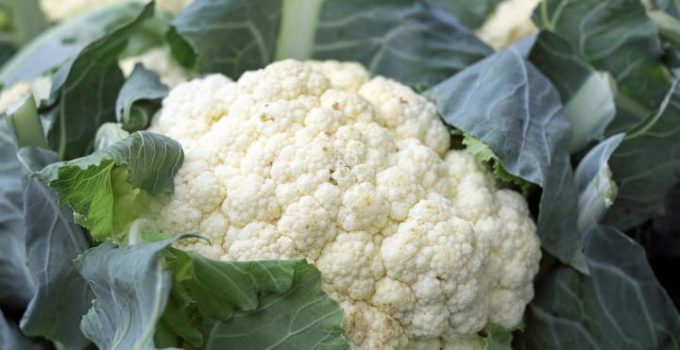 Four ways to cook with February’s seasonal cauliflower