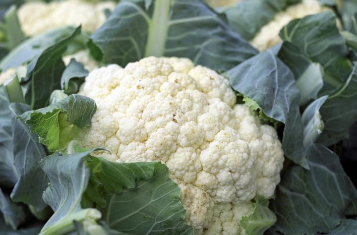 Four ways to cook with February’s seasonal cauliflower